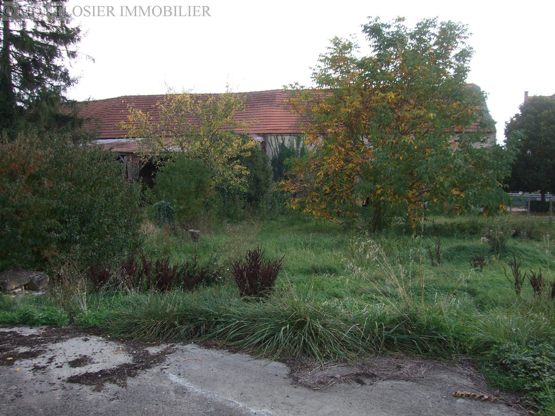 Maison à vendre, BUSSIERES ET PRUNS, 136 m², 4 pièces